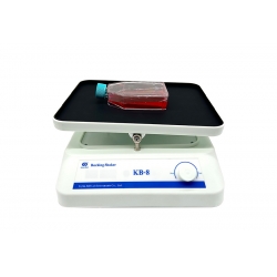 KB-8B转移脱色摇床